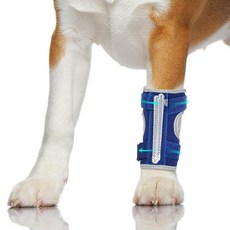 Petdream 강아지 앞다리 보호대: 발목 앞다리 앞다리를 위한 조절 가능한 부목 탈착식 금속 스프링과 반사 가장자리가 있는 염좌 랩 관절염 및 부상 지지용 (S), 딥 블루