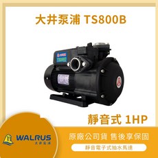 大井 TS800B 1HP 抽水馬達 靜音式電子抽水機 原廠公司貨