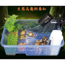 烏龜生態飼養盒 水陸兩用烏龜缸 澤龜/蠑螈適用 - 婷婷百貨/金金水族, 1個, 黑色 L