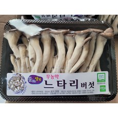 싱싱한 느타리버섯 200g 1팩 참타리, 1개