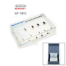 고품질어린이용품 LF-1611 성장표본파리, ▦색상▩SIZE_상품명