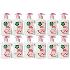 데톨 항균 핸드워시 스킨케어 X(), 12개, 250ml