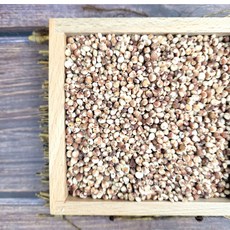 국산 찰수수 수수 2kg 4kg, 찰수수 2kg X 1봉, 1개