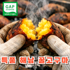 [타임특가] GAP인증 해남 꿀고구마 정품, 1박스, 3kg (특상)