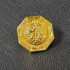 태권도 국기원 뺏지 뱃지 기념품, 1개, 혼합