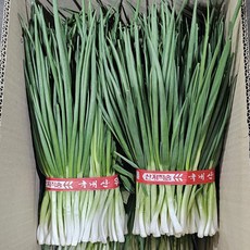 클릭마켓 노지 깐쪽파 1단 실파 잔파, 2개, 1kg
