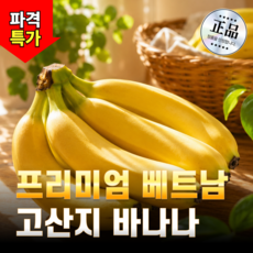 당도높은 프리미엄 베트남 고산지 바나나, 1개, 송이 3kg 내외