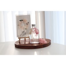 어버이날 선물 식목일 하바플라리움&버킷리스트 원예체험키트 원예키트, 1개