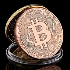 금도금 비트코인 ​​코인 수집용 미술 컬렉션 선물 실제 기념 Casascius 비트 BTC 금속 골동품 모조품, Silver has shell