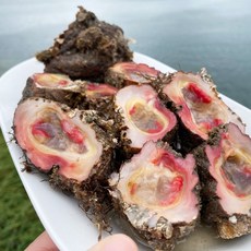 국내산 제철 통영 해녀 자연산 돌멍게 1kg, 1개, 돌멍게 1kg (6-10미)