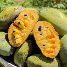 포포열매 포포나무열매 1kg, 1개, 냉동 포포열매 1kg(5-6과)