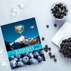 미국산 프리미엄 블루베리 듀크 단일품종 1kg, 1개