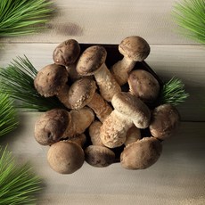 [수라성찬 다버섯] 국내산 무농약 송화버섯, 1박스, 1kg (알뜰형)