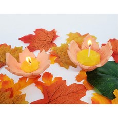 중등수업재료 단풍잎 양초 만들기 1인용 캔들 향초만들기 양초점토 diy패키지 diy양초, 1개