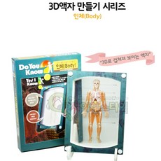 추억샵 3D액자 만들기 인체 소화기 근육 뼈, 1개