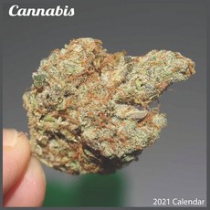 (영문도서) Cannabis 2021 Calendar: Official Cannabis Calendar 2021 Paperback, Independently Published, English, 9798585925542