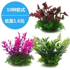 수족관식물 어항수초 수경재배 수초식물 수족관인테리어 수초장식 관상용 수생식물, 1개