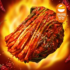 [고춧가루로만 맛있게 매운맛을 살린] 군침도는 실비파김치 1kg 매운 쪽파 김치 맛있게 매운 불김치 천년의반찬, 1개