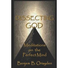 (영문도서) Dissecting God: Meditations on the Perfect Mind Paperback, Independently Published, English, 9781798507742