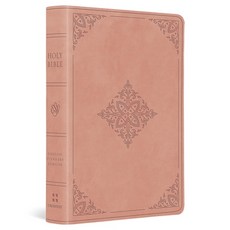 (영문도서)ESV Value Large Print Compact Bible (Trutone Blush Rose Fleur-De-Lis D... Imitation Leather, Crossway, English, 9798874903077