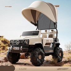 cha 전동 사륜차 충전식 손수레, 전기 구동, 1개, 탑 미스티커피 12V 450000G 캐노피