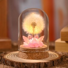夜燈蒲公英永生乾花束擺件, 夢幻粉色 蒲公英,簡易裝