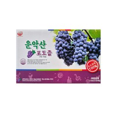 가평 운악산 프리미엄 포도즙, 25개, 110g