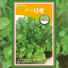 다채(비타민채) 씨앗 5g, 1개