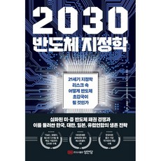 2030 반도체 지정학:21세기 지정학 리스크 속 어떻게 반도체 초강국이 될 것인가, 성안당, 오타 야스히코