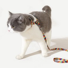 펫쭈 고양이 하네스 리드줄 목줄 고양이전용 산책줄 세트, 블루 오렌지, 1개