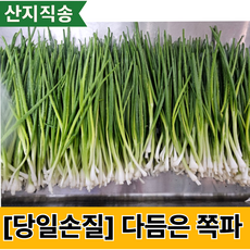 [당일손질] 쪽파 신선한 깐쪽파 다듬은 흙쪽파, 4개, 1kg