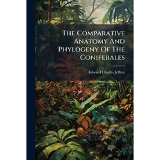 (영문도서)The Comparative Anatomy And Phylogeny Of The Coniferales Paperback, Hutson Street Press, English, 9781024789508