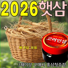 인삼 A+콩난발삼 750g 산지에서 발송 가정용 수삼 판매자/금산인삼아줌마(김은자), 1개