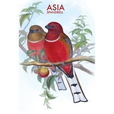 (영문도서)Asia Paperback, English, 9798349593949