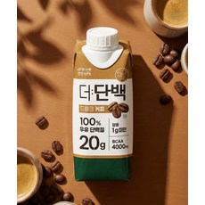 BINGGRAE 더단백 드링크 250ml 36팩 18팩 x 2박스 커피