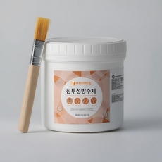 바르다케미칼 침투형 바르는 방수제 옥상 욕실 외벽 투명 발수, 1통, 300g