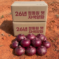 [정동원양파] 햇양파 자색양파 국내산, 1박스, 자색양파 (중대혼합) 5kg