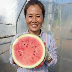 [상위1%생산자직송] 국내산 고당도 겨울 하우스수박, 1개, 3~4kg