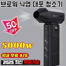 【5000w 대용량】 제설기 강력 낙엽 청소 고출력 충전식 전동 블로워 차량성에제거기, 폭력터보선풍기*2, X8, (1개) 폭력터보선풍기