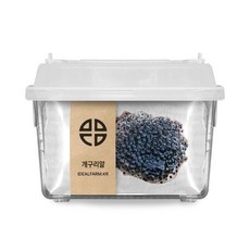 개구리 한살이 토종 개구리 알 관찰 키트 wkw+2944th