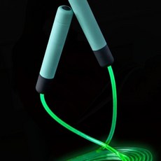 줄넘기 LED 야광 어린이 다이어트 운동 학생 야외 무게, 1개, GFarm  A타입 블루(건전지X)