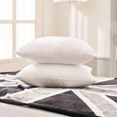 휴비스 프리미엄 베개솜 지퍼형 1+1 cac+77500cw, 베개솜(40×60)2개, 1개