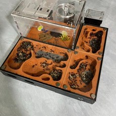 개미키우기키트 관찰교구 생물수업 만들기 학습 수업 과학실, 1개, B. 디럭스 에디션 (워터타워+쓰레기구역)