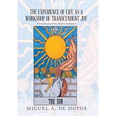 (英文圖書)The Experience of Life as a Workshop of Transcendent Joy: A Consciousness-First... 精裝版, Balboa Press, 英文