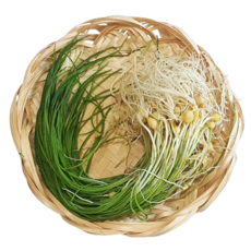 국내산 세척 손질 달래 100g 200g 400g, 1개