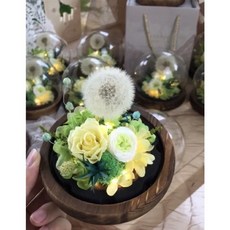 萬花。瞳花藝資材工作室 永生蒲公英花盅, 白色