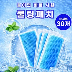 진볼리 쿨링패치 냉각패치 붙이는 아이스쿨팩 30매, 30개