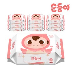 순둥이 nBpR-01 /베이직 무향엠보싱 리필형 100매 10팩 살균 소독 무형광