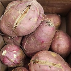 파머스넷 해남 꿀고구마, 10kg 못난이(40g 이상), 1박스