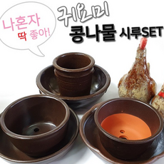 루체트리 숨쉬는 귀요미 1인용 콩나물 시루세트 1 2 3호, 2호